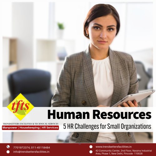 5 Human Resources Challenges for Small Organizations